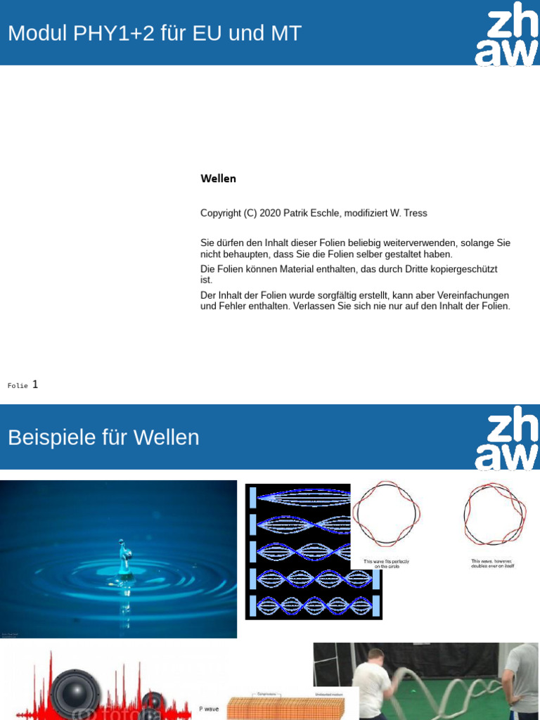 PHY2 V06 Wellen | PDF