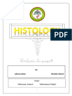 Histo (MCQ)(1)