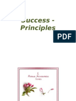Success - Principles