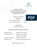 Annexe 2 - Standardisation Du Rapport PFE