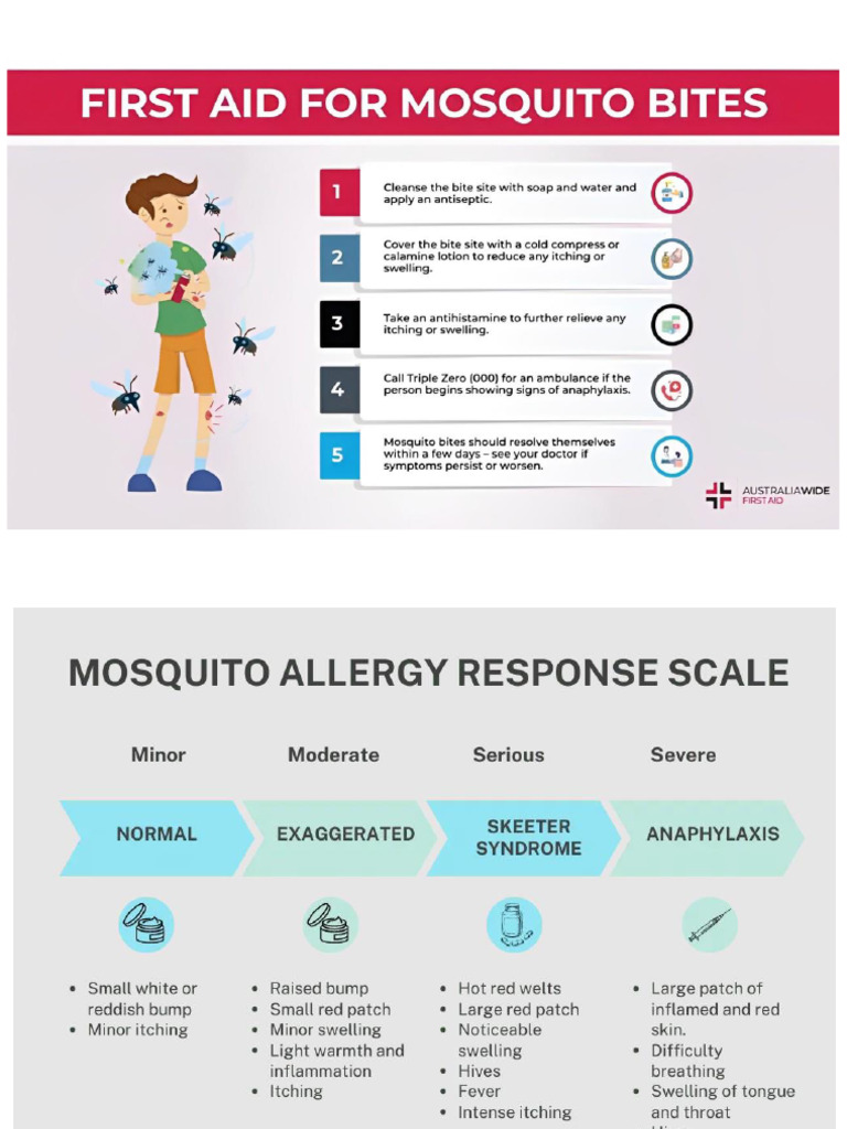 Mosquito Bite Inphographic Image | PDF