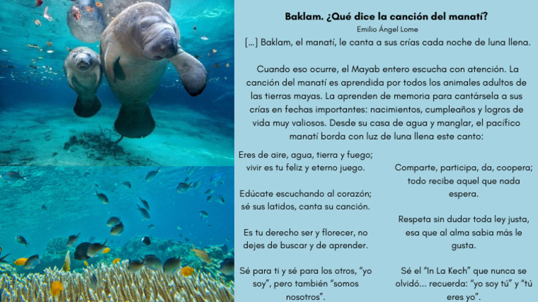 Baklam. ¿Qué Dice La Canción Del Manatí | PDF | Religión y espiritualidad