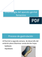 Embriologia Del Aparato Genital Femenino