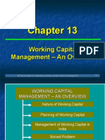 Ch 13 WorkingC M An Overview