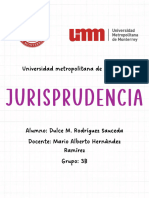 DMRS Jurisp E1
