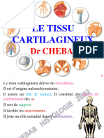 2 - Tissu Cartilagineux (Diapo)