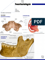 Anestesiologia - Resumo Av1