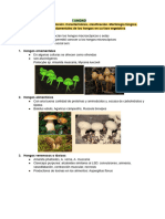 Apuntes Micología - V Ciclo (3) - 1