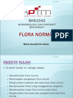 06 Flora Normal
