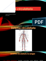 Sistema Circulatorio