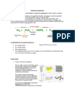 Estados de La Materia