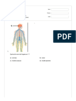Quizz Système Nerveux 4ième - Quizizz