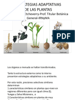 Estrategias Adaptativas de Las Plantas