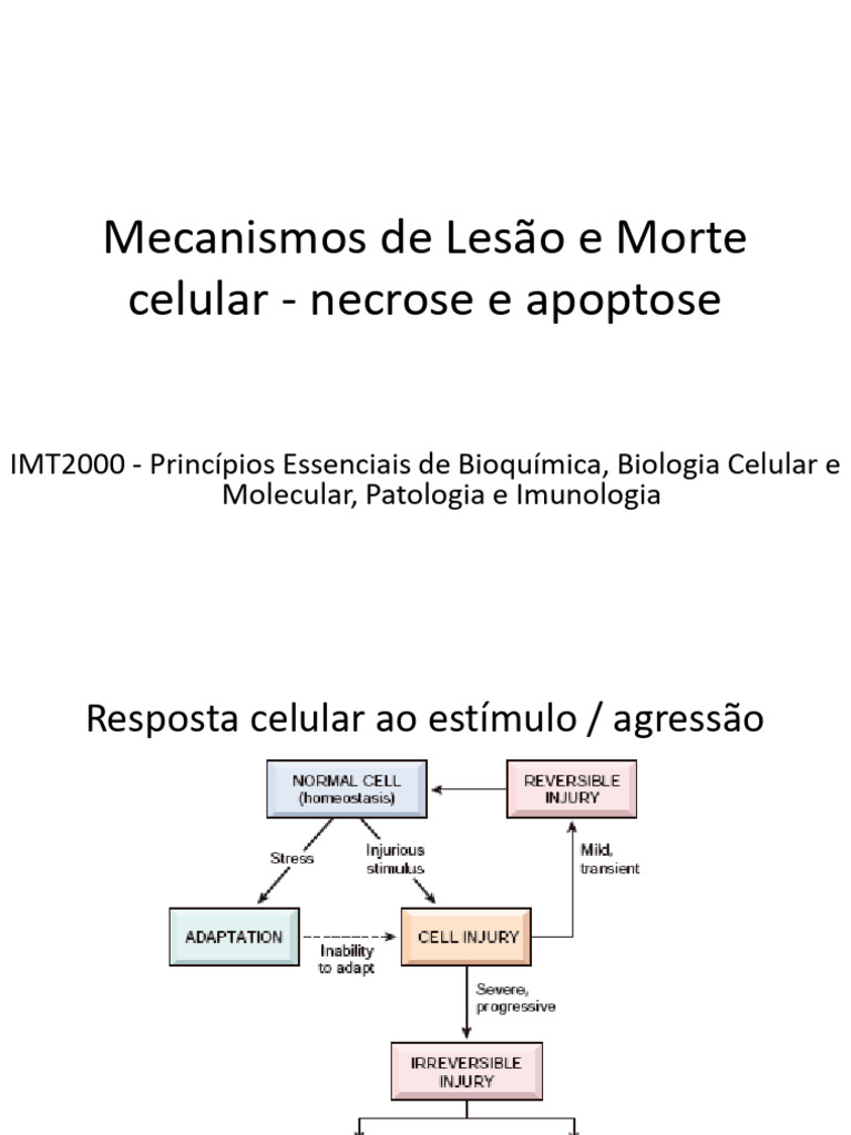 Aula Tipos de Morte Celular | PDF | Necrose | Apoptose
