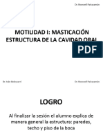 Teoría 4 Motilidad I Masticación - Estructura de La Cavidad Oral