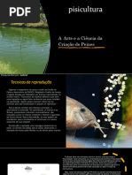 Posologia e Indicações do Codipront | PDF | Opioide | Amamentação