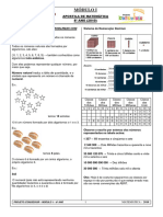 Atividade Extra Operaçoes Aritmeticas PDF