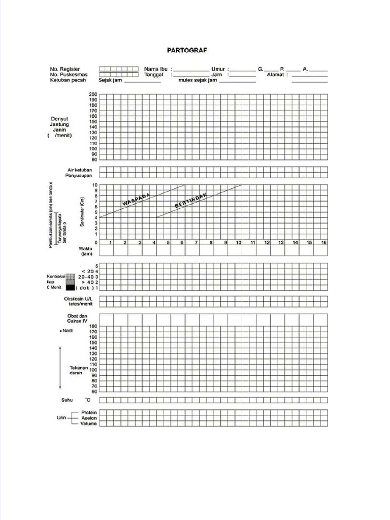 PDF Format Partograf - Compress | PDF