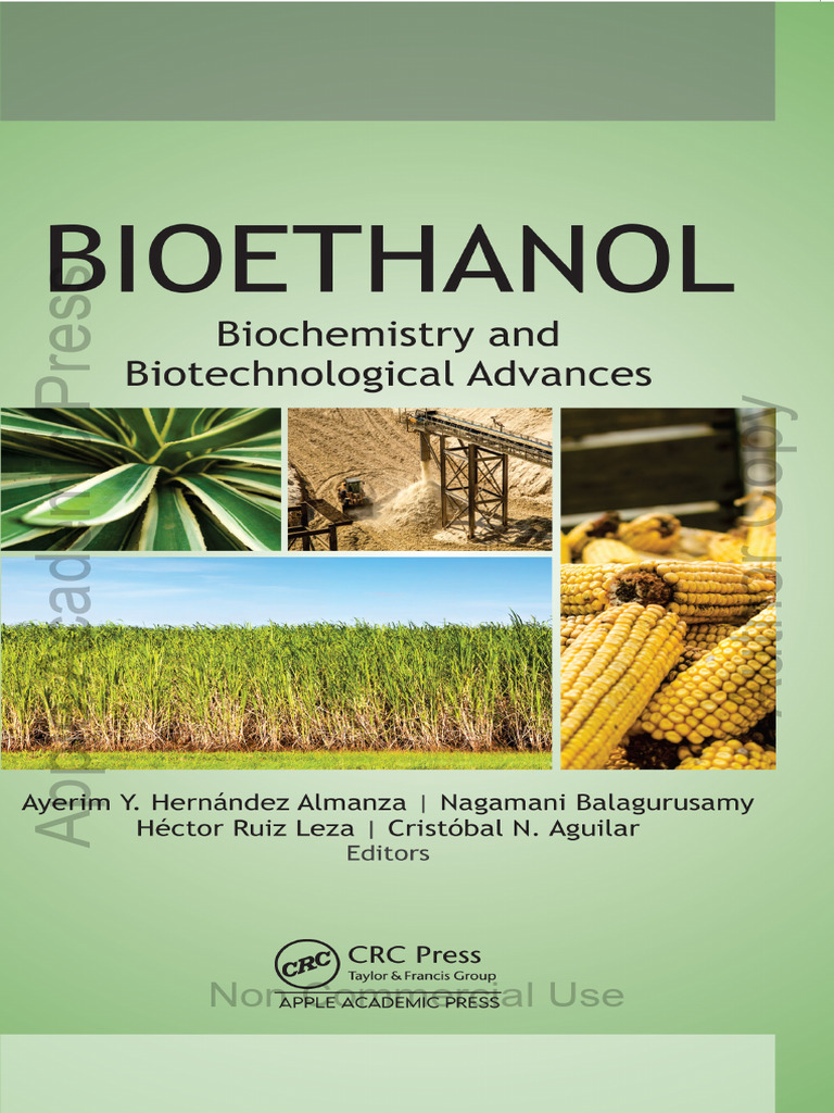 Bioethanol Author | PDF | Biofuel | Biorefinery