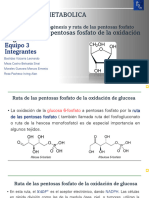 14.5 Ruta de Las Pentosas Fosfato de La Oxidación de Glucosa