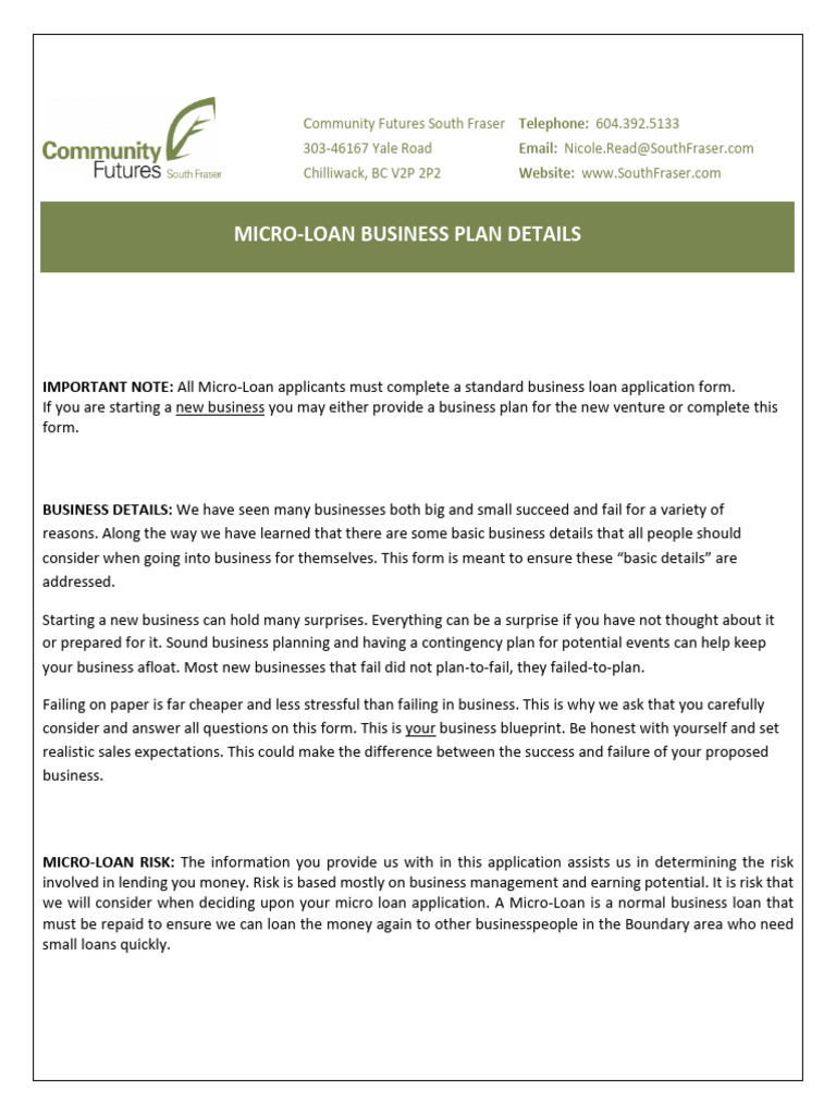 Micro-Loan Application Guide for Startups | PDF | Microcredit | Sales