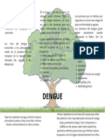 El Dengue (Fiebre Quebrantahuesos) Es Una Infección Vírica Que Se Transmite de Mosquitos A Personas.