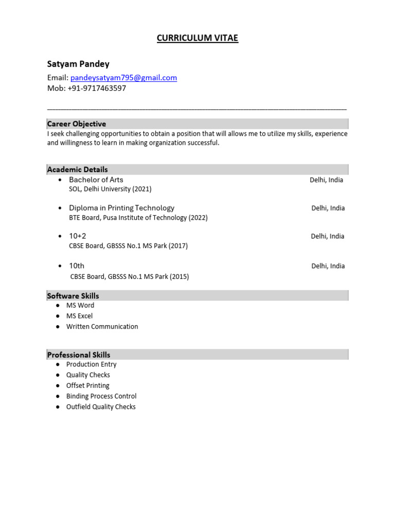 Satyam CV 2 | PDF