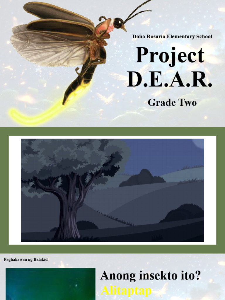 Project DEAR - 03.08.2024 | PDF