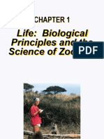 Chapt01 - Intro To Zoo