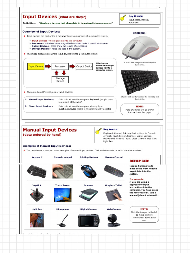 Manual Input Devices and Direct Input Devices | Download Free PDF ...
