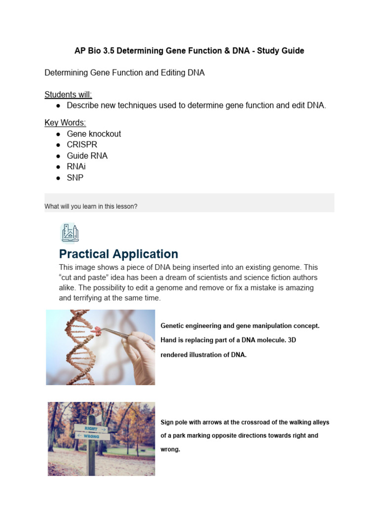AP Bio 3.5 Study Guide - Determining Gene Function & DNA | PDF | Single ...