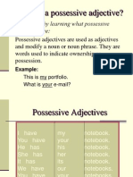 Possessive Adjectives