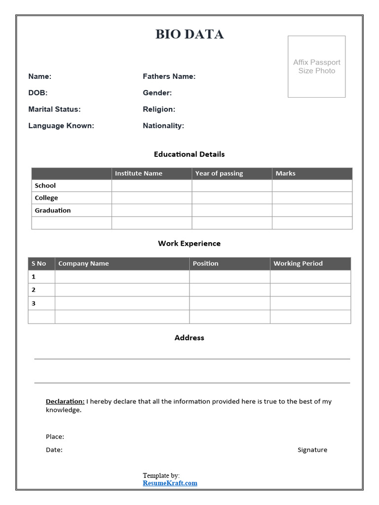 Job Application Biodata Template | PDF