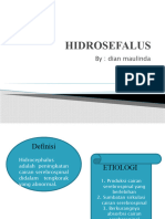 HIDROSEFALUS