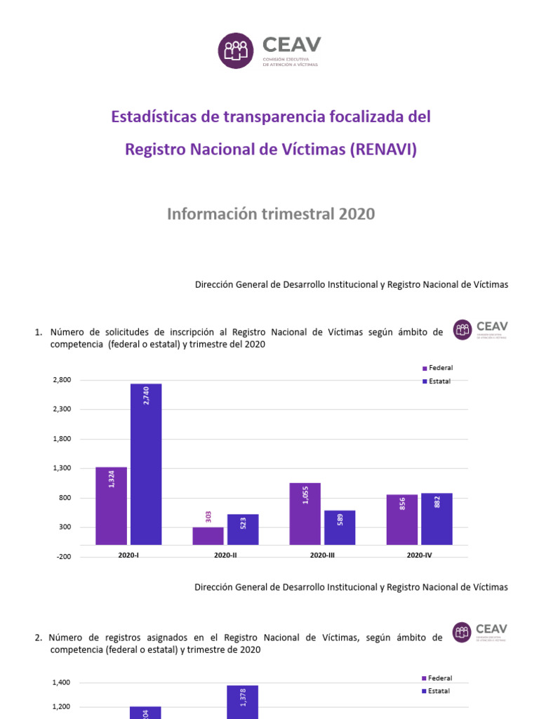 2 Estadi Stica RENAVI Al 31 12 2020 | PDF