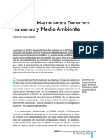 Principios marco sobre Derechos Humanos y Medio Ambiente - Knox J.