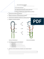 Taller Neuro 1 Generalidades