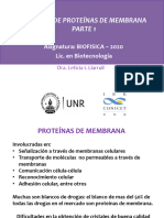 17 - 2020 - Proteinas de Membrana - Llarrull