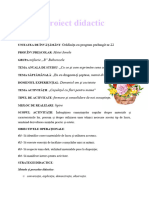 proiect_didactic_monodisciplinar_ade_dos_cosuletul_cu_flori_pentru_mama_activitate_practica