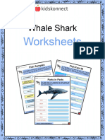 Whale Shark Worksheets Sample