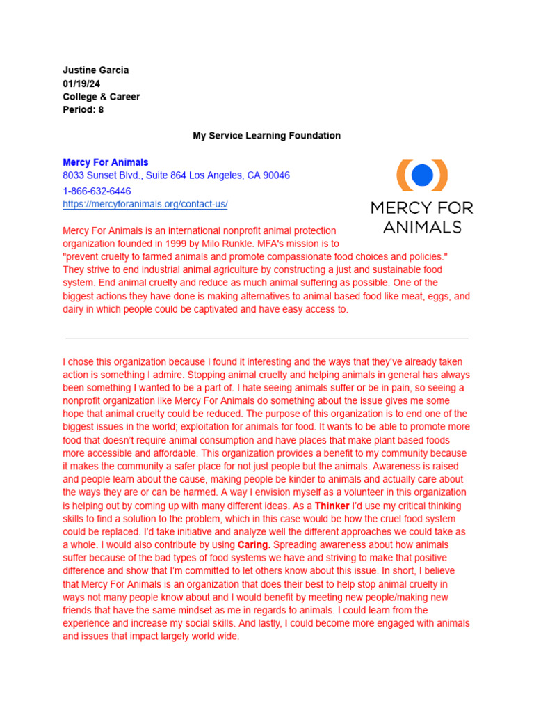 Service Learning Pdf
