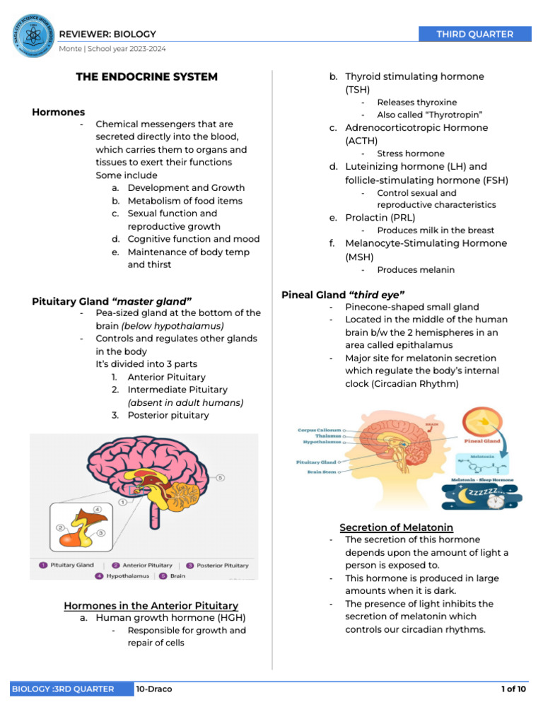 3rd Quarter Biology | PDF