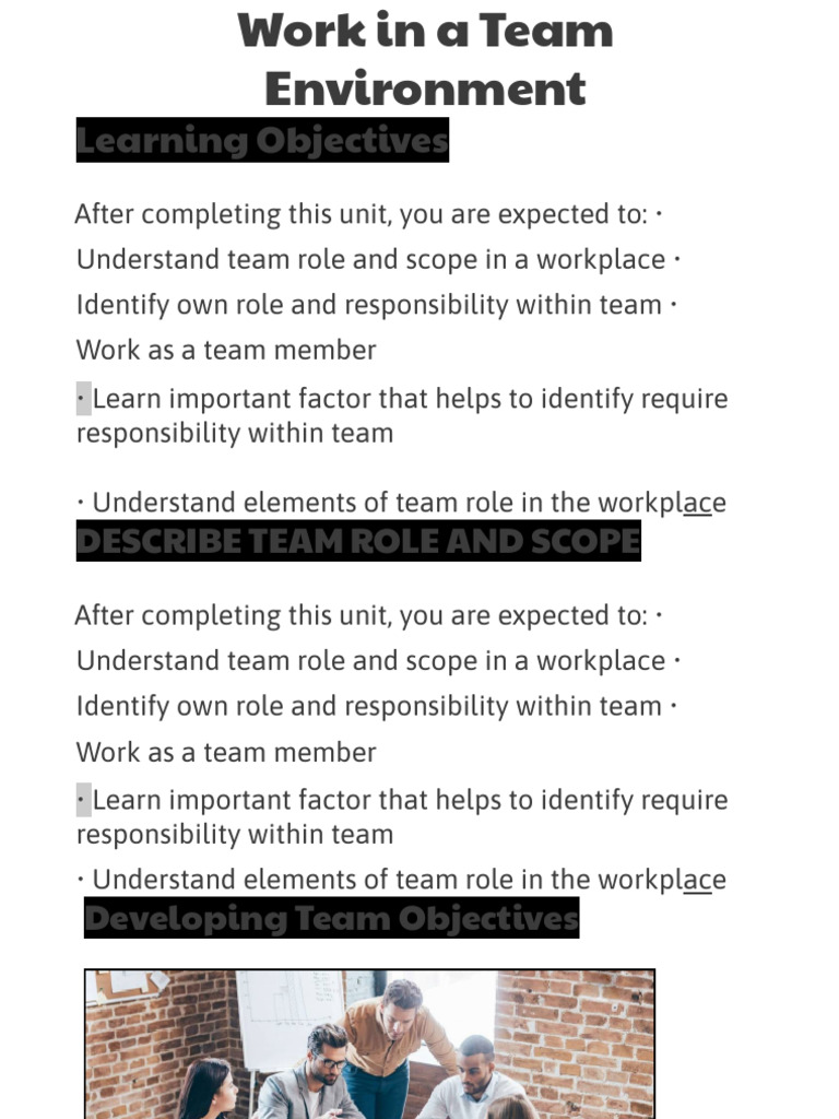 Work in A Team Environment | PDF