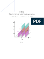 Statistical Lifetime Models