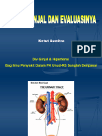 Fungsi Ginjal Dan Evaluasinya