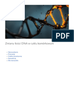 Zmiany Ilosci DNA W Cyklu Komorkowym