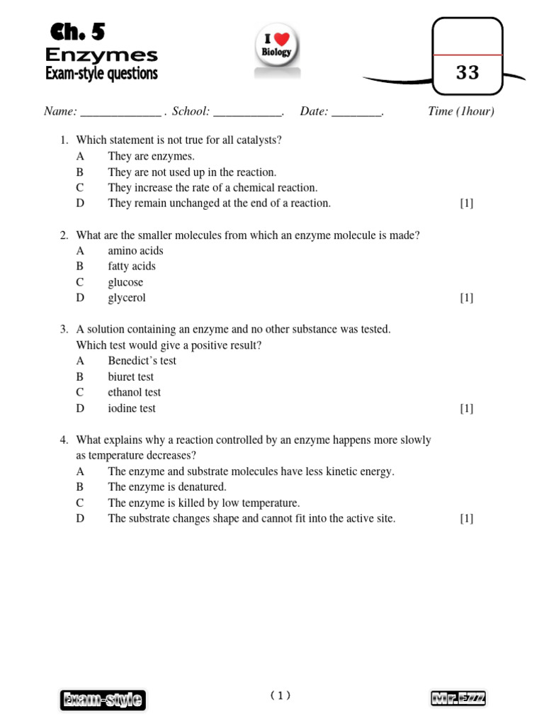 CH 5 Enzymes | PDF