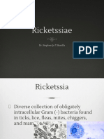 Ricketssiae