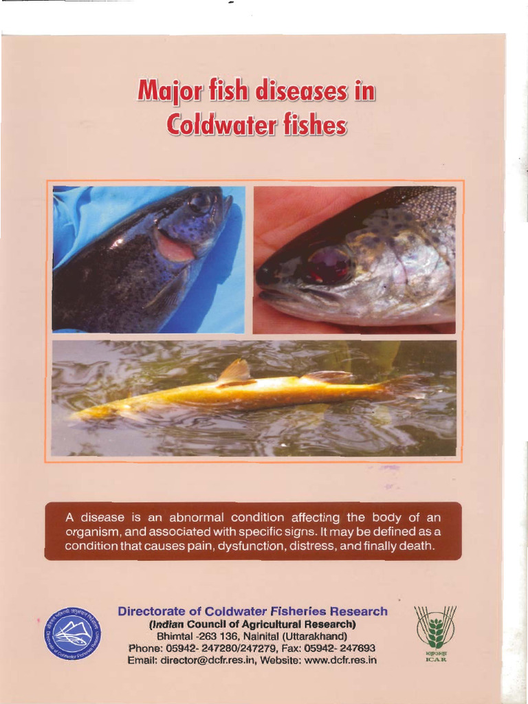 Photo inspiration: Visual Reference: Fish Diseases In Coldwater Fish