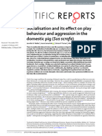 Socialisation and Its Effect On Play Behaviour and Aggression in The Domestic Pig (Sus Scrofa)